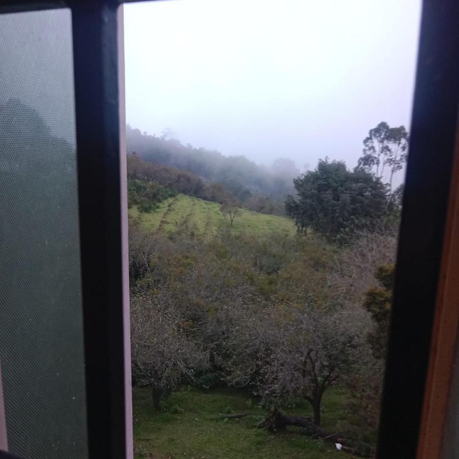 Olive Rooms Kodaikanal With Wifi, Spacious Rooms, Parking Экстерьер фото